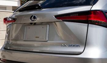 
									Lexus NX300h full								