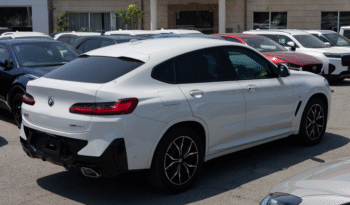 
									Bmw X4 Xdrive full								