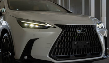 
									Lexus NX350h full								
