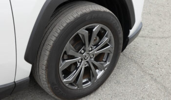 
									Toyota RAV4 Hybrid full								